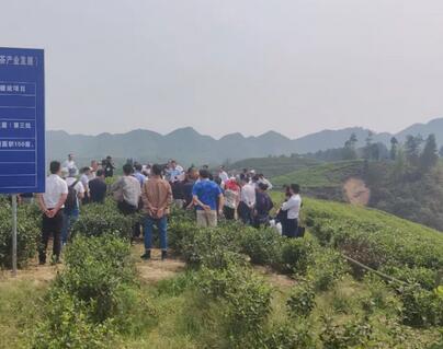 茶葉水肥一體化項(xiàng)目有效解決茶園灌溉及施肥問(wèn)題