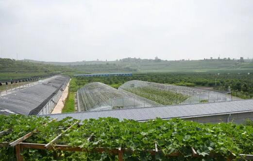 陜西推廣軟體集雨水窖水肥一體化技術(shù)，推動節(jié)水農(nóng)業(yè)發(fā)展 